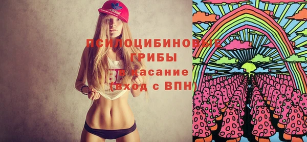 гашик Алексеевка
