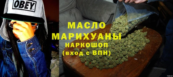 индика Абаза