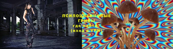 гашик Алексеевка